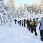 Tahoe Adventure Co Group Snowshoe
