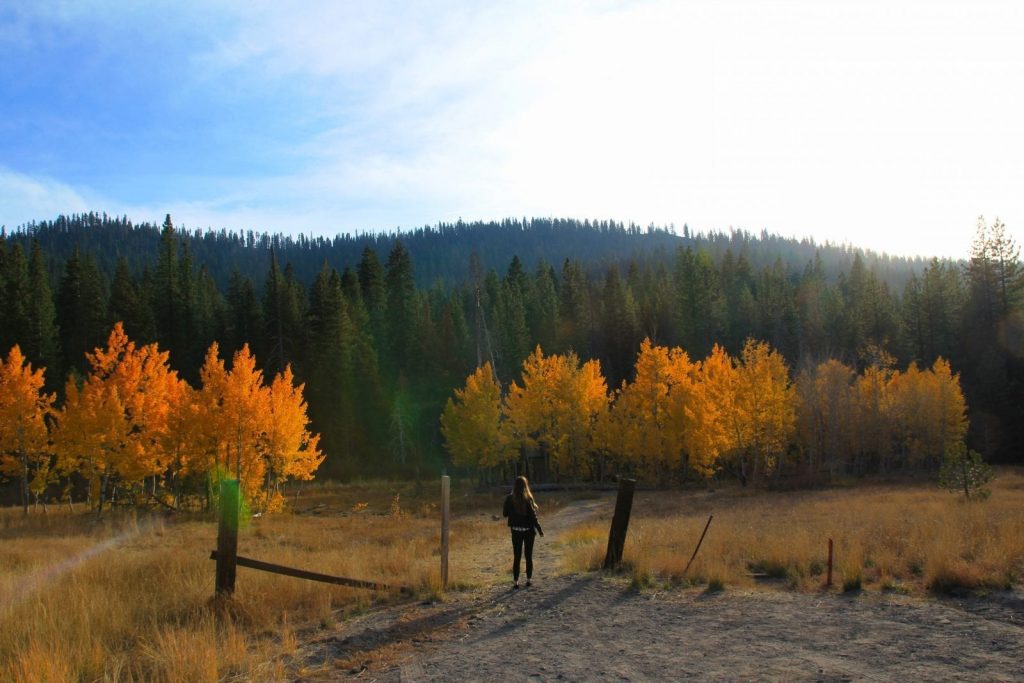 Fall North Lake Tahoe