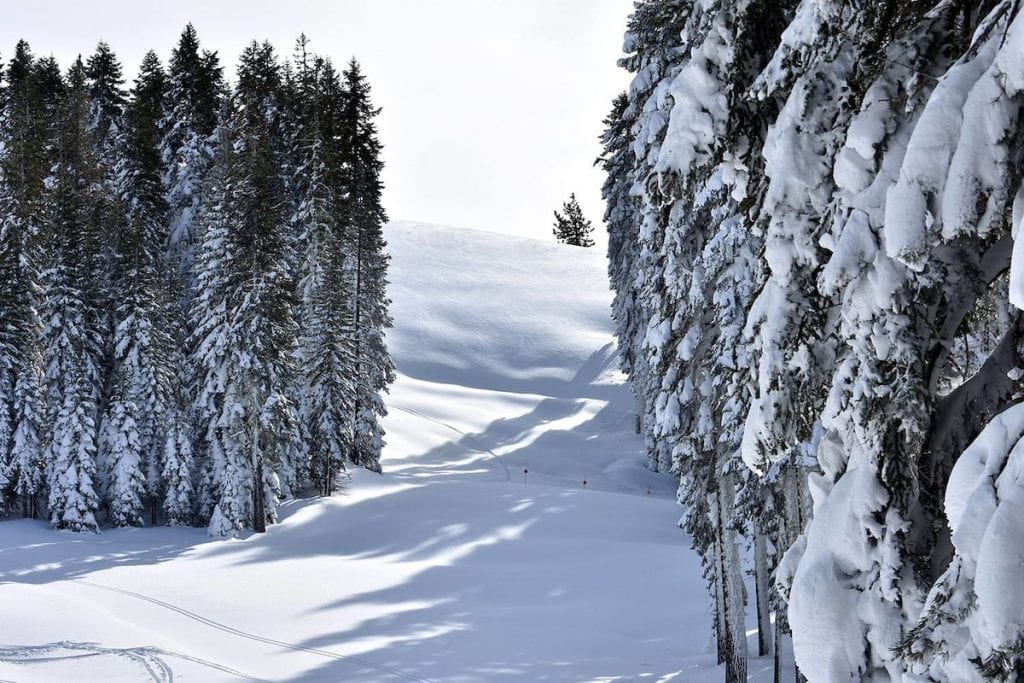 Enjoy these amazing North Lake Tahoe resorts!