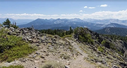 Ellis Peak Trail In Lake Tahoe