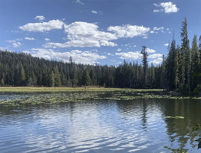 Get to know this 18.2-mile point-to-point trail near Homewood, California. Generally considered a challenging route.