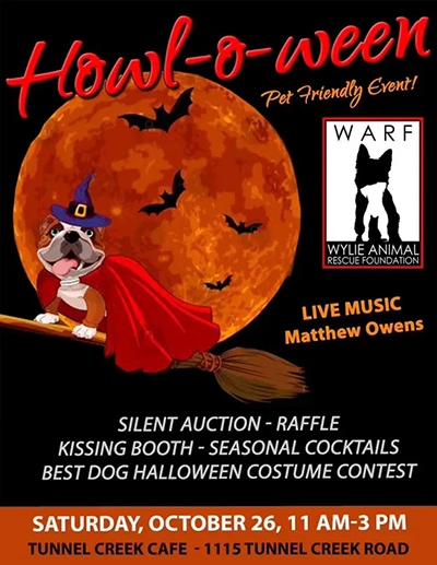 Join Us for a Spooktacular Dog Rescue Halloween Fundraiser!