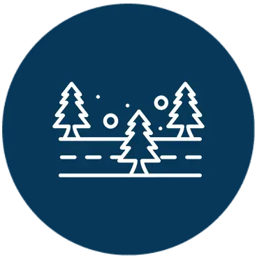 Icon showing tress and a road