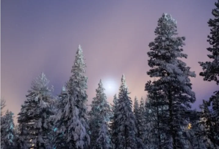 Full Moon Snowshoe Tours