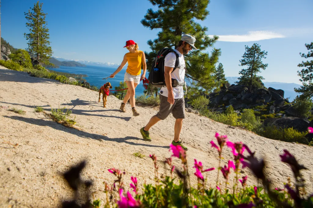 Couple walking with their dog on a Spring day in Lake Tahoe