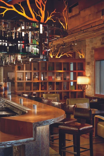 Manzanita at the Ritz Carlton in Lake Tahoe