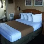 Single bed at Pepper Tree Inn