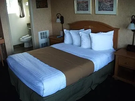 Single bed at Pepper Tree Inn