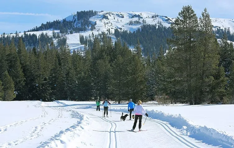 Royal Gorge cross-country skiing