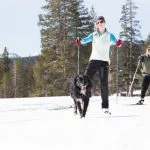 Explore Lake Tahoe’s Nordic ski areas
