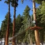 Tahoe Treetop Adventure Park | Zip Lines in Tahoe City