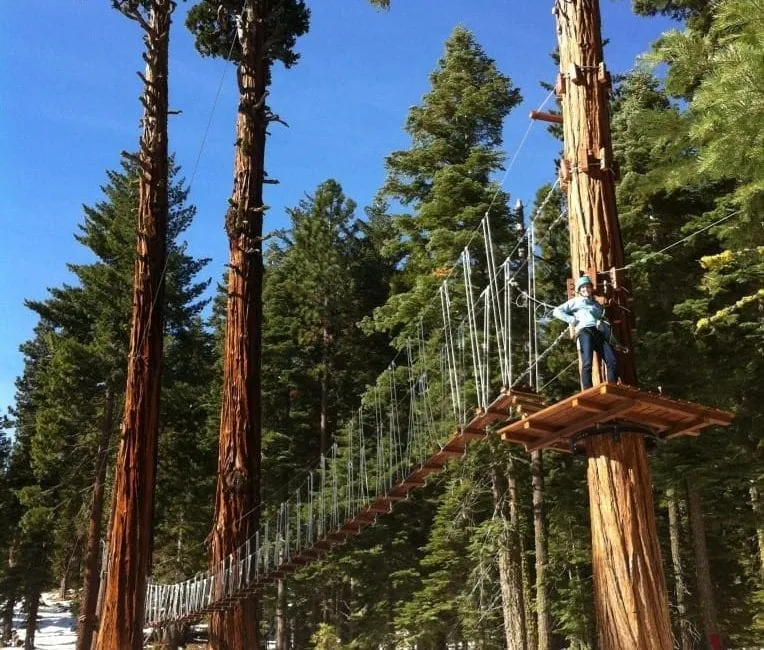 Tahoe Treetop Adventure Park | Zip Lines in Tahoe City