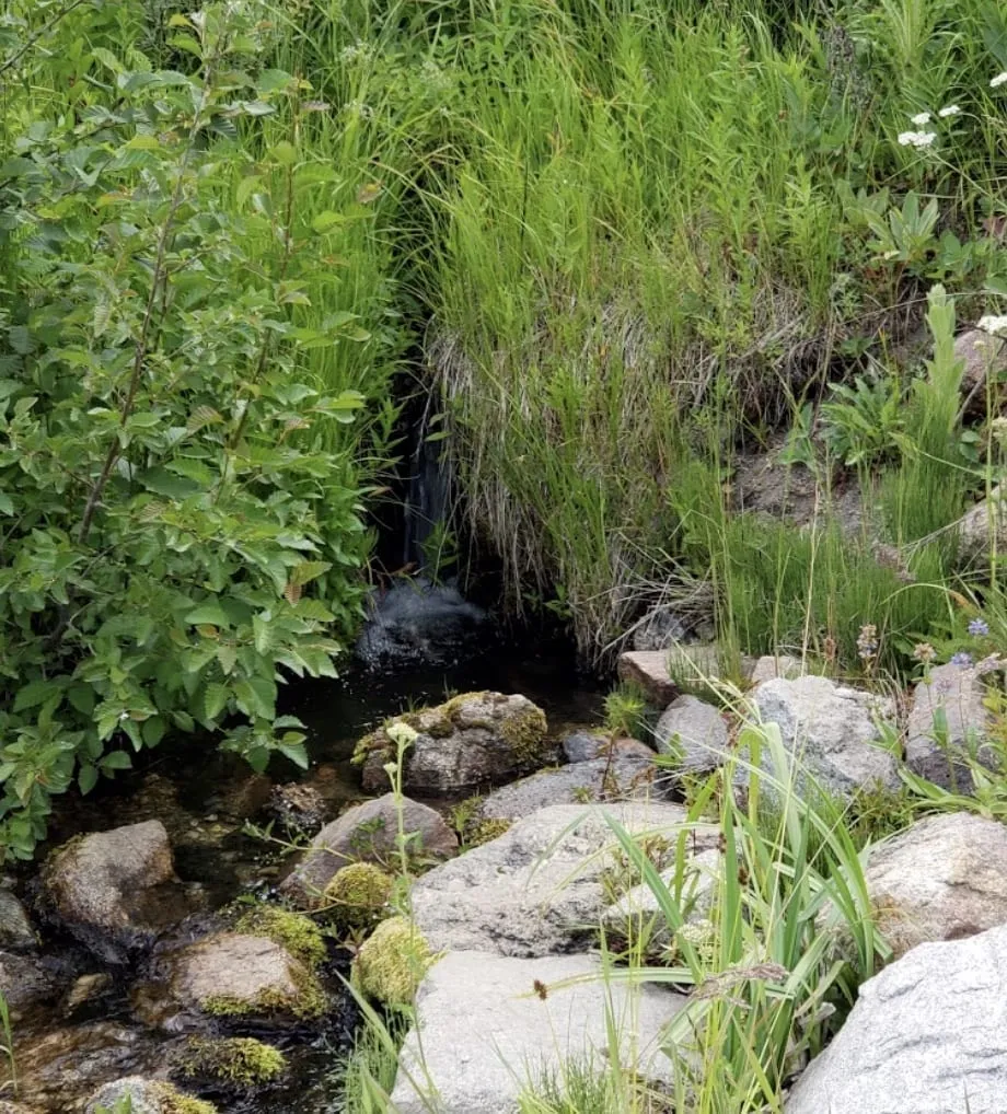 Photo of Silver Creek in Lake Tahoe