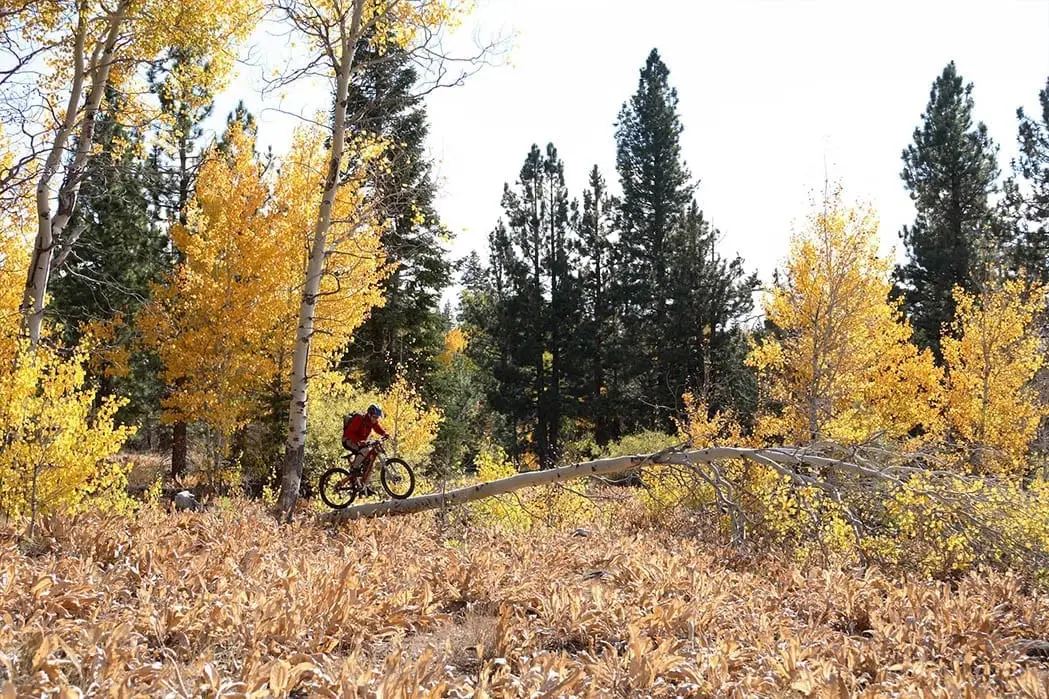 Lake Tahoe Bike Tours