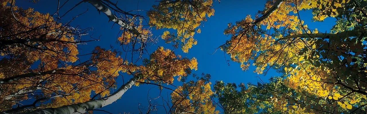 Explore Northstar, Lake Tahoe — luxury lodging, ski resort amenities, mountain biking, ice skating, and year-round resort lifestyle.