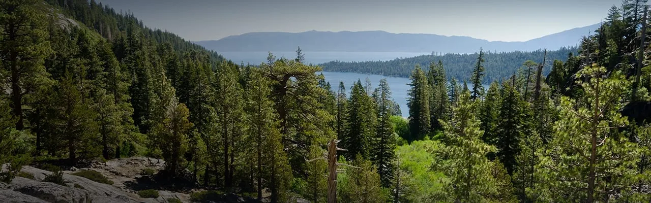 Lake Tahoe’s environment forests, wildlife, water health, conservation efforts, and natural ecosystems of the Tahoe basin.