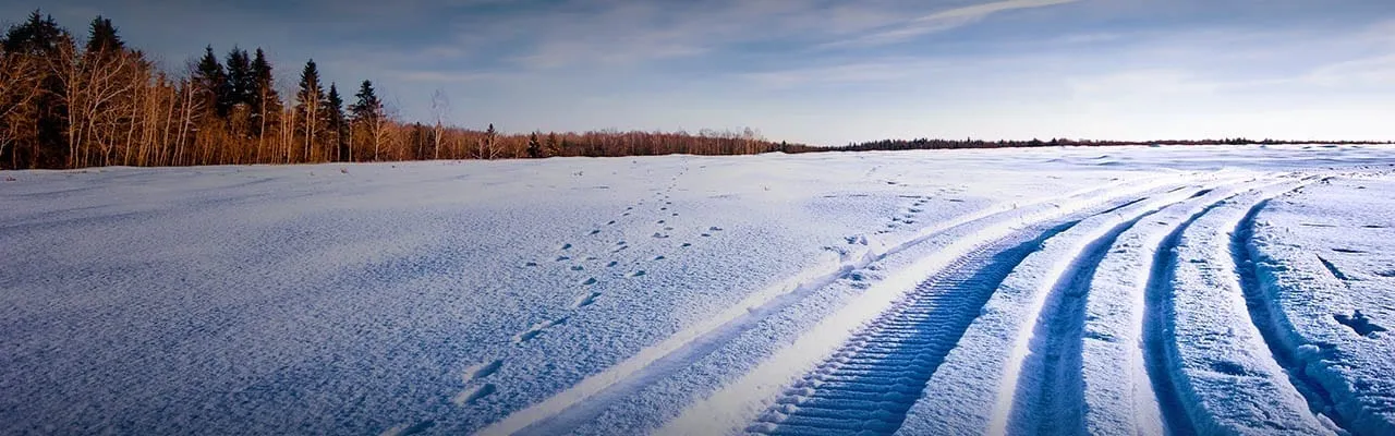 Lake Tahoe Snowmobile Routes and Trails