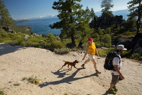 Beaches, trails, restaurants and pet-friendly stays in this complete dog-friendly guide.