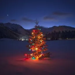 Christmas tree outside in Lake Tahoe