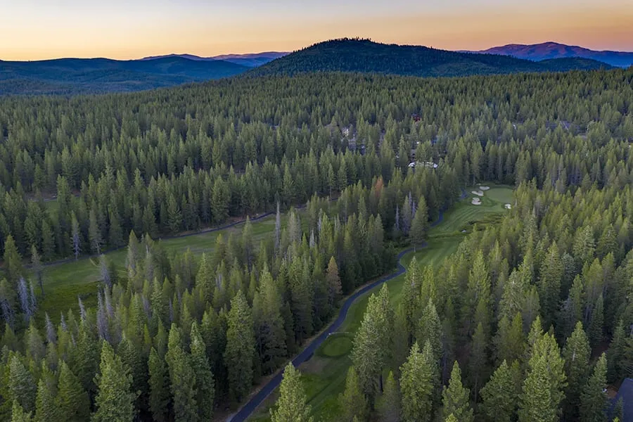 Aerial shot of the Tahoe Donner Gold Cource Trees