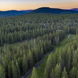 Donner Lake Field In Lake Tahoe