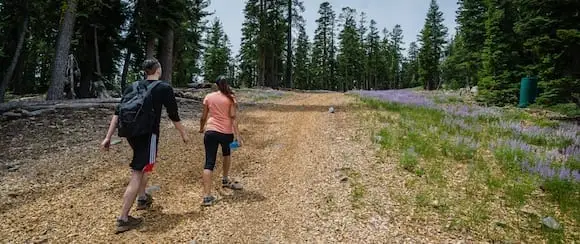 Two people hiking on a trail on a clear day in Lake tahoe