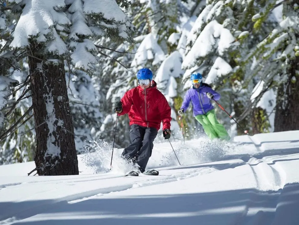 Alpine Meadows Tree Skiing