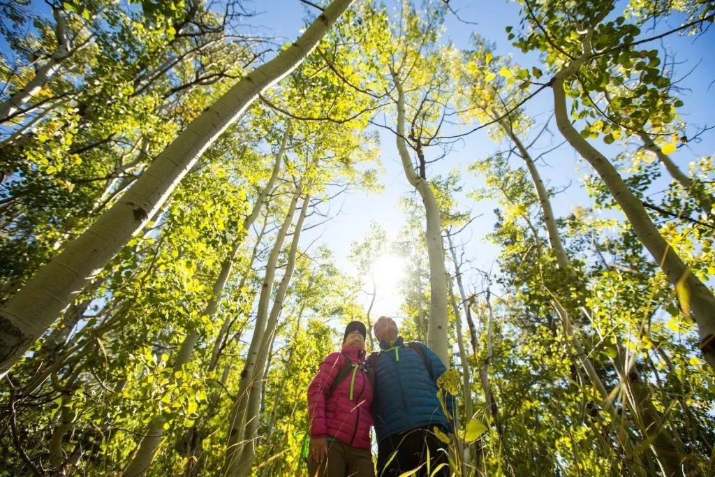 Explore the Emigrant Trail in Tahoe