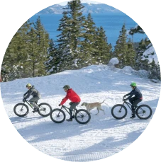 Three people biking through snow with dog in Lake Tahoe during winter