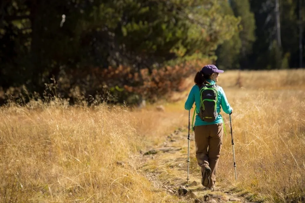Person walking through a meadow