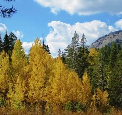 Fall photos in Lake Tahoe