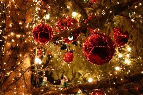 Tahoe City Holiday Market