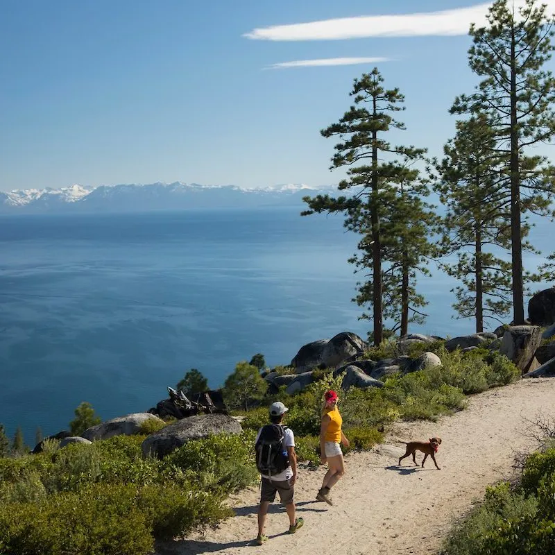 Scenic hiking trail near Lake Tahoe