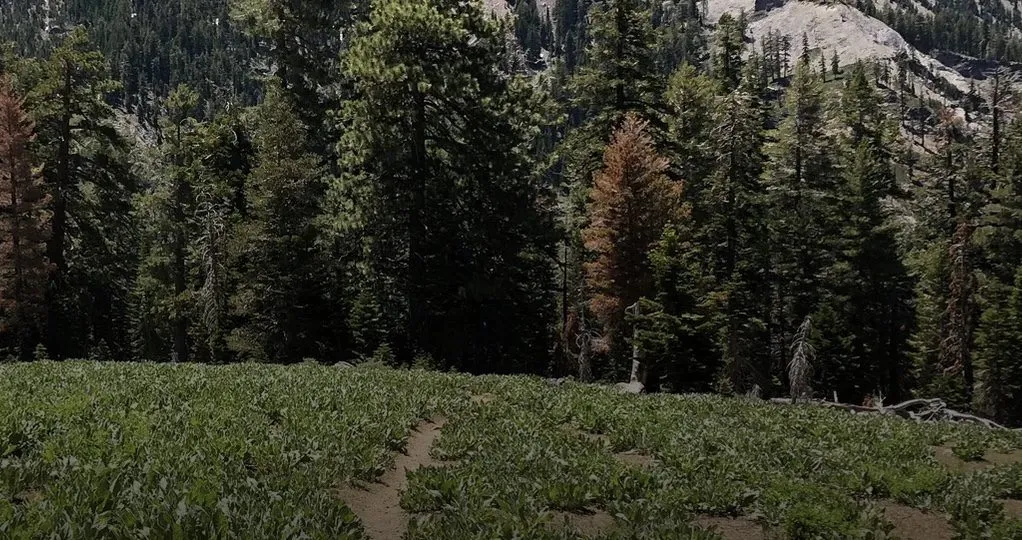 Stanford Rock Trail in Lake Tahoe