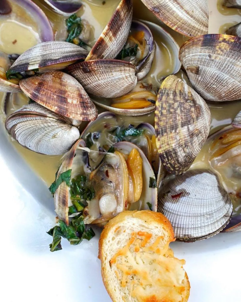 Muscles and Clams in Lake Tahoe