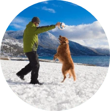 Dog-Friendly Beaches Lake Tahoe