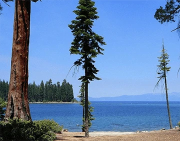 Eagle Point Campground in Lake Tahoe