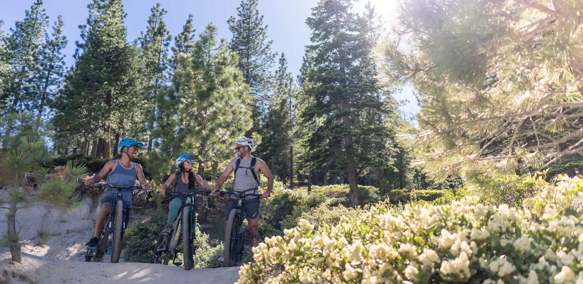 Lake Tahoe Biking