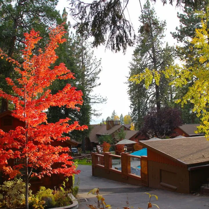 Cabin beside forest lake during Lake Tahoe fall