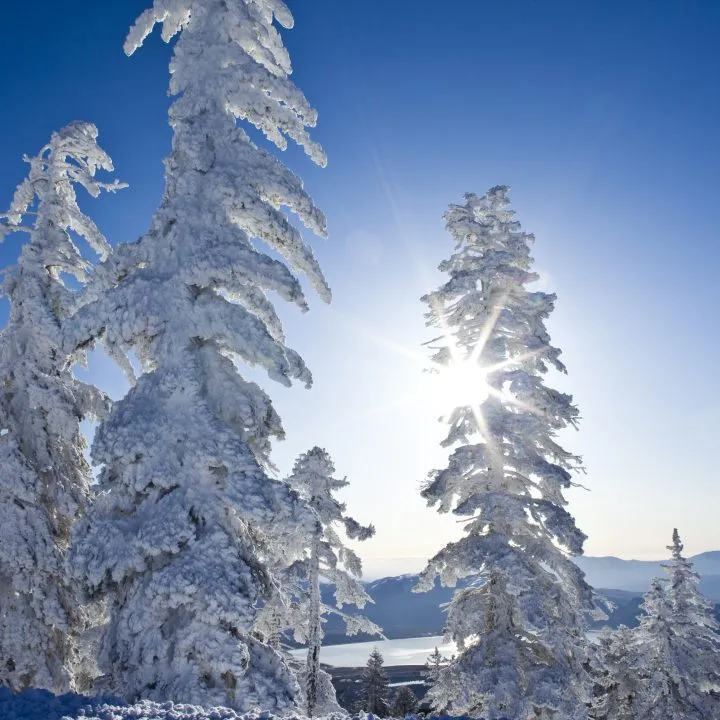 Explore what's new in North Lake Tahoe Winter 2024/2025