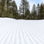 Snow tracks with trees in the back ground in Lake Tahoe