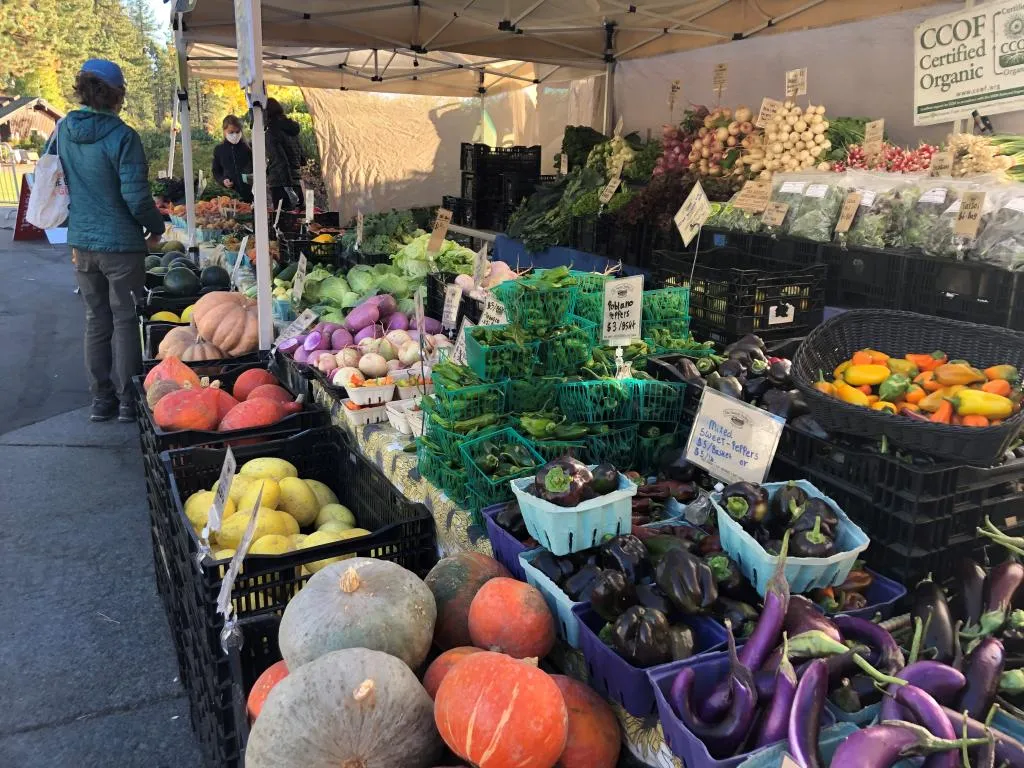 Tahoe City Farmer’s Market
