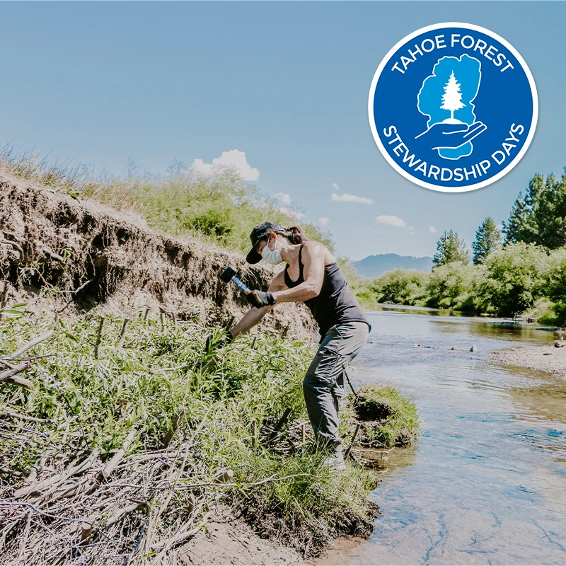 Tahoe Forest Stewardship Day